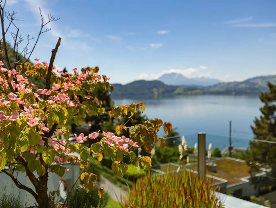 The View | Villa